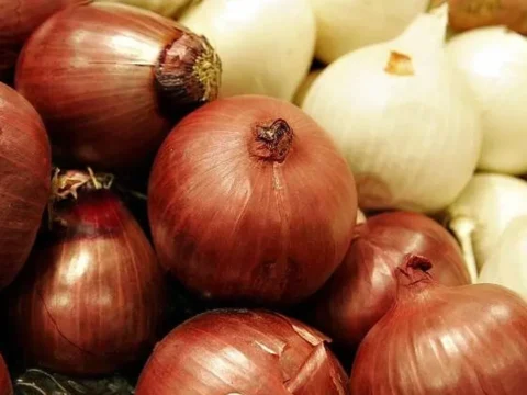 Kuru soganda gumruk gecici yuzde 5e indirildi lPS9ZwHY